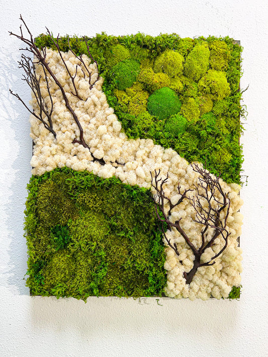 Preserved Moss Wall with Manzanita Branches, White Reindeer Moss, Pillow Moss