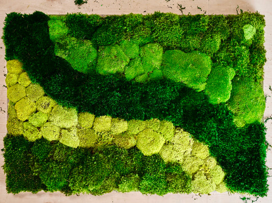 "Patterns in Nature" Preserved Moss Wall - 100% Real and Maintenance-free Moss Wall