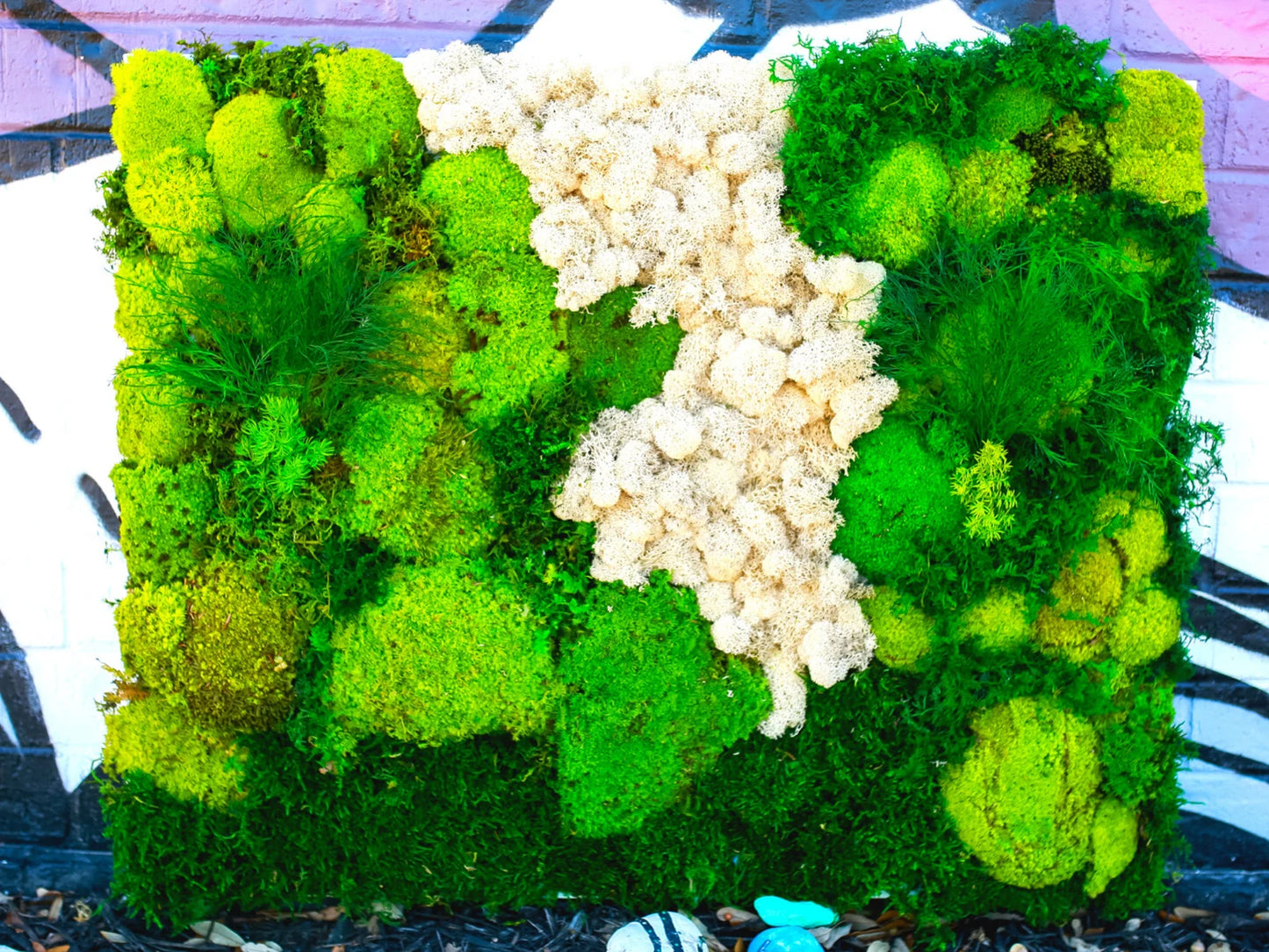 Preserved Moss White Reindeer Moss, Pillow and Mood Moss